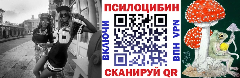 Купить  Кирс  Псилоцибиновые грибы GOLDEN TEACHER 